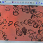 Moagem de óxido de alumínio em wafers de fosfeto de índio